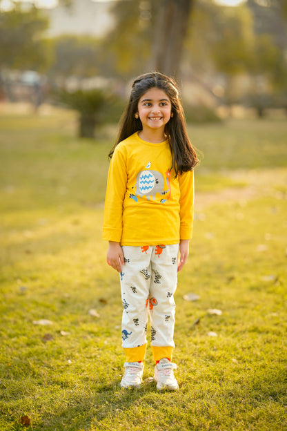 Animal Kids Suit (Each)